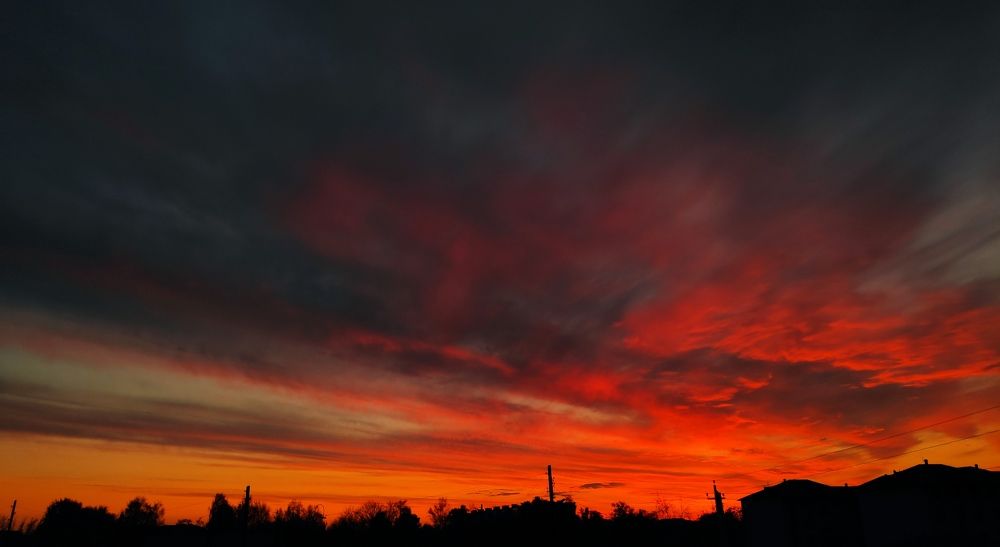 Photograph by Елена