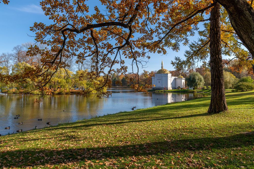 Photograph by Алик