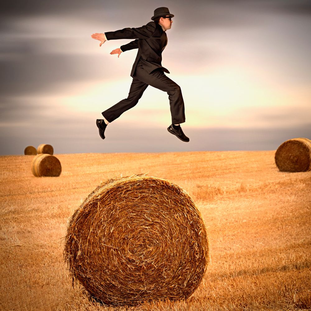 Самый сенокос