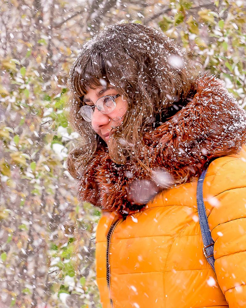 Фотография автора Николай Бологов