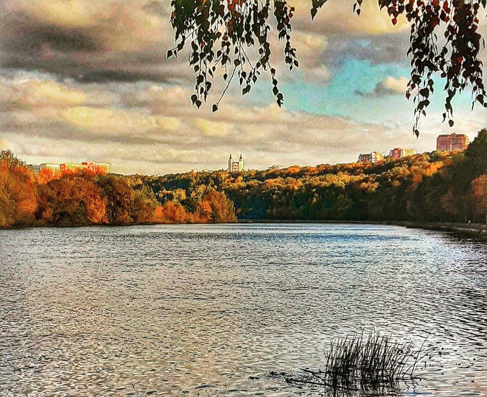 Photograph by Суворова Наталия