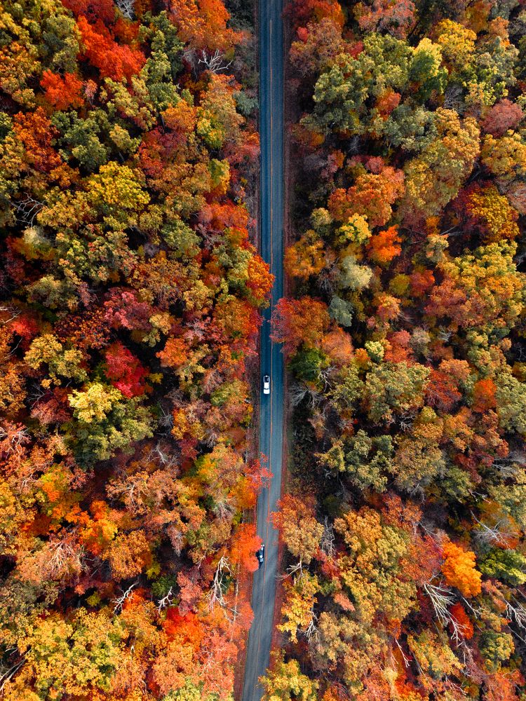 Photograph by Chen Jin