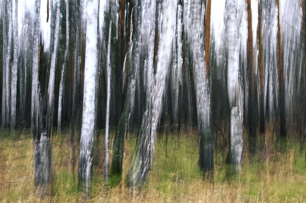 Photograph by Гагик Мхитарян