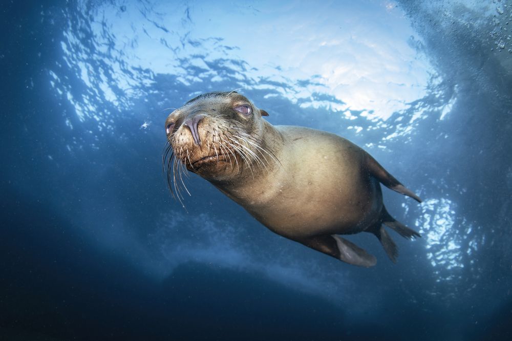 Photograph by Merche Llobera