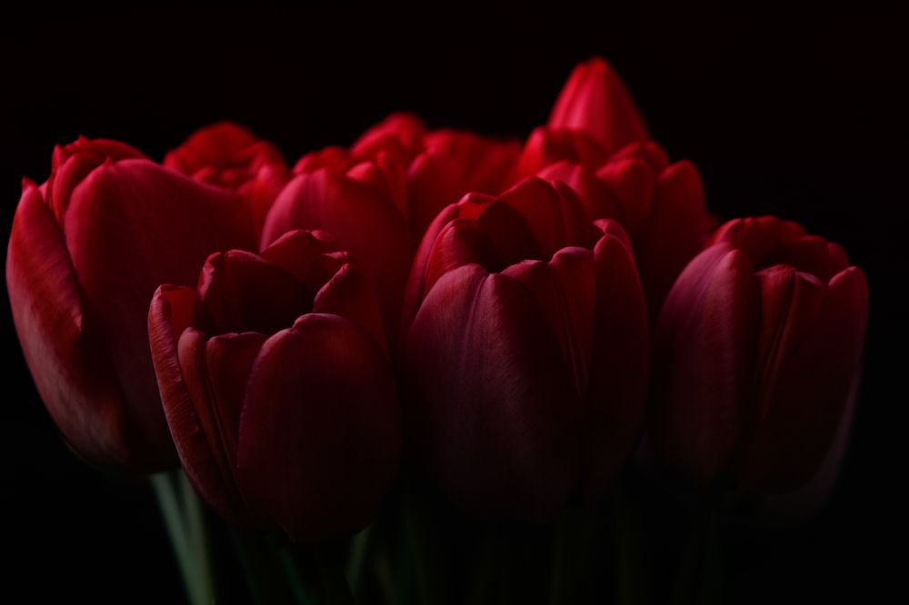 Photograph by Андрей Серый