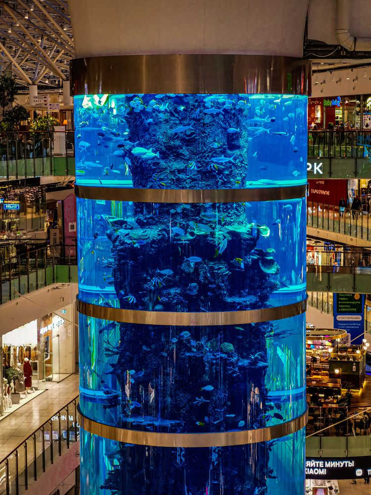 Photograph by Влад Апанасов