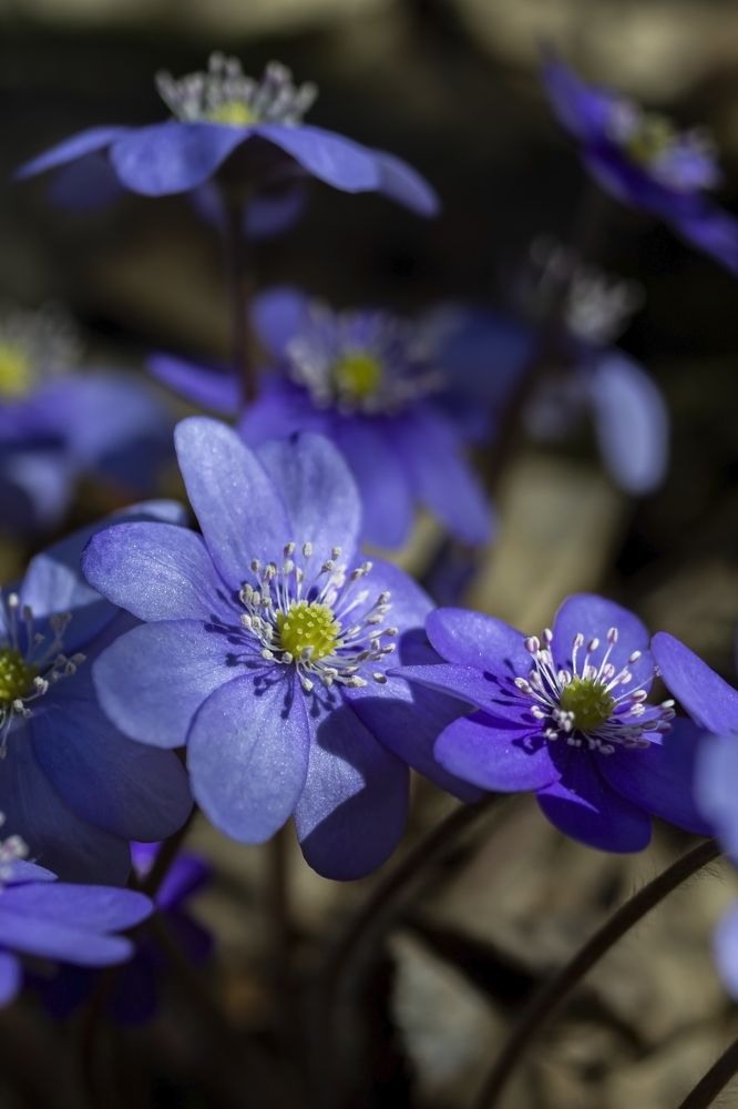 Photograph by  Ольга