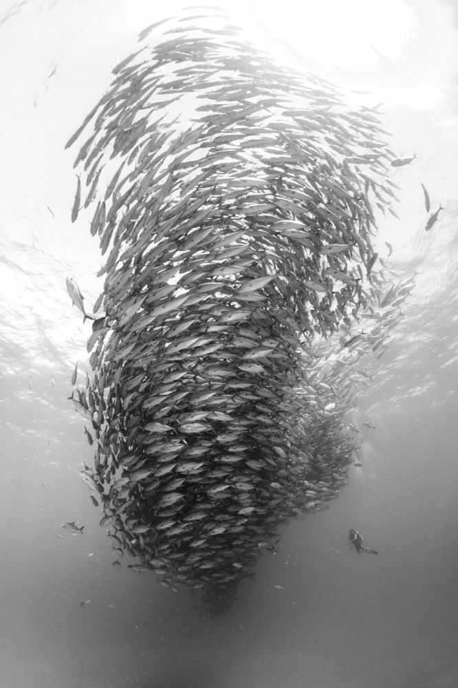 Photograph by Merche Llobera