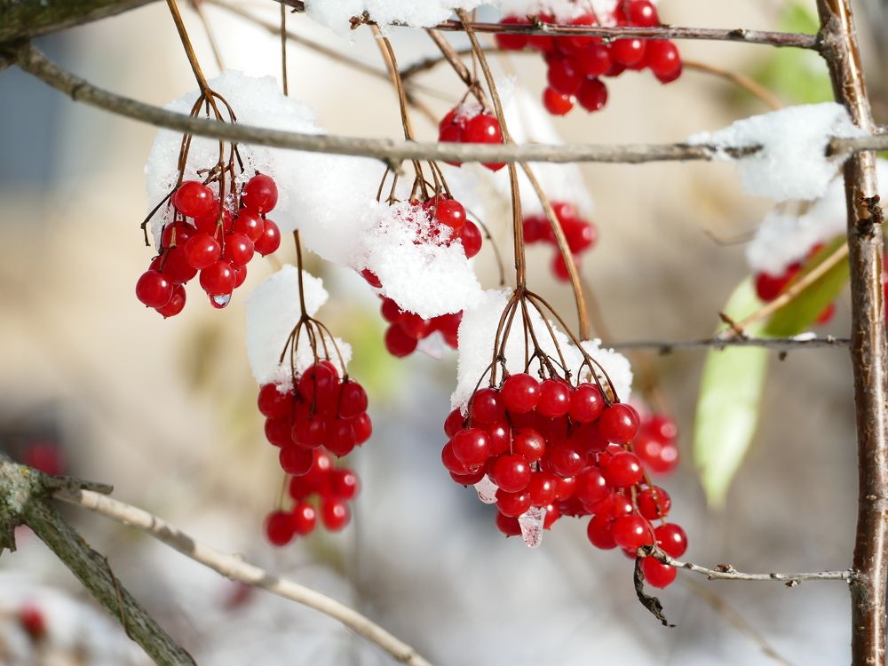 Photograph by Александр Кизим