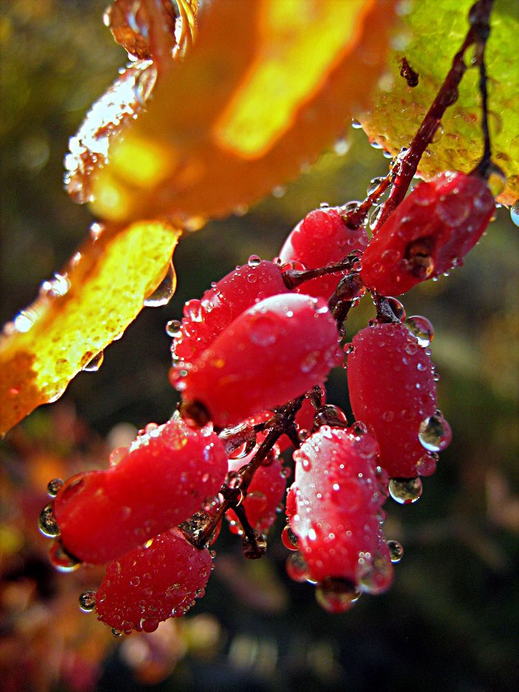 Photograph by Александр Пузиков