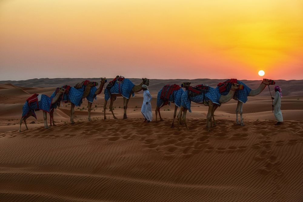 Photograph by Усманов Рашид