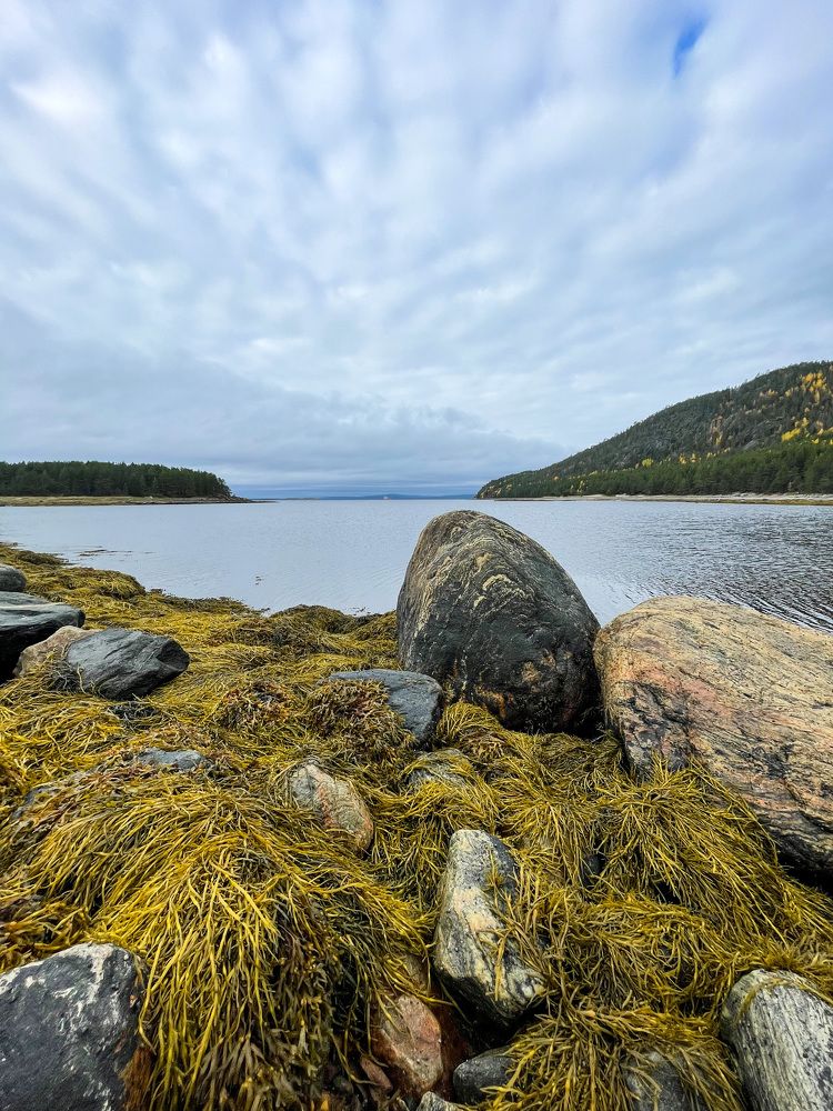 Photograph by Евгений Козырев