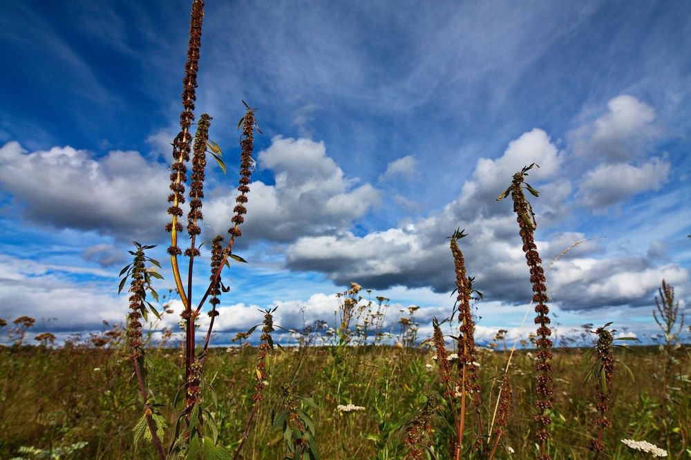 Photograph by ANTON KLYUSHIN