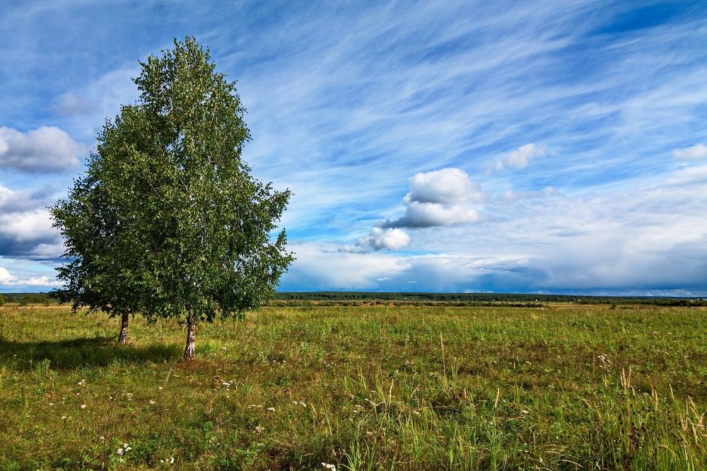 Photograph by ANTON KLYUSHIN