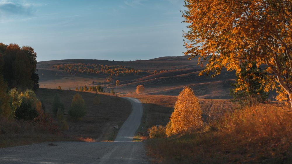 Photograph by Denis Koshkin