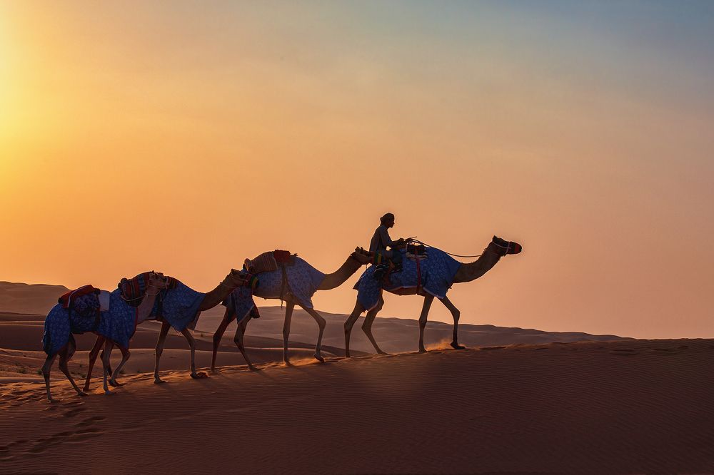 Photograph by Усманов Рашид