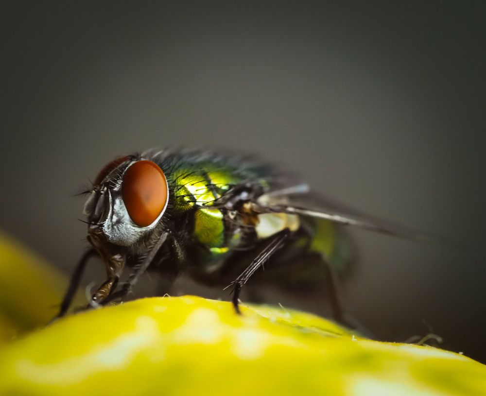 Photograph by Tomasz Starzyk