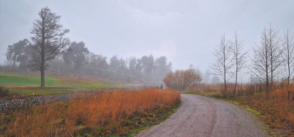 Photograph by Epp Tappel