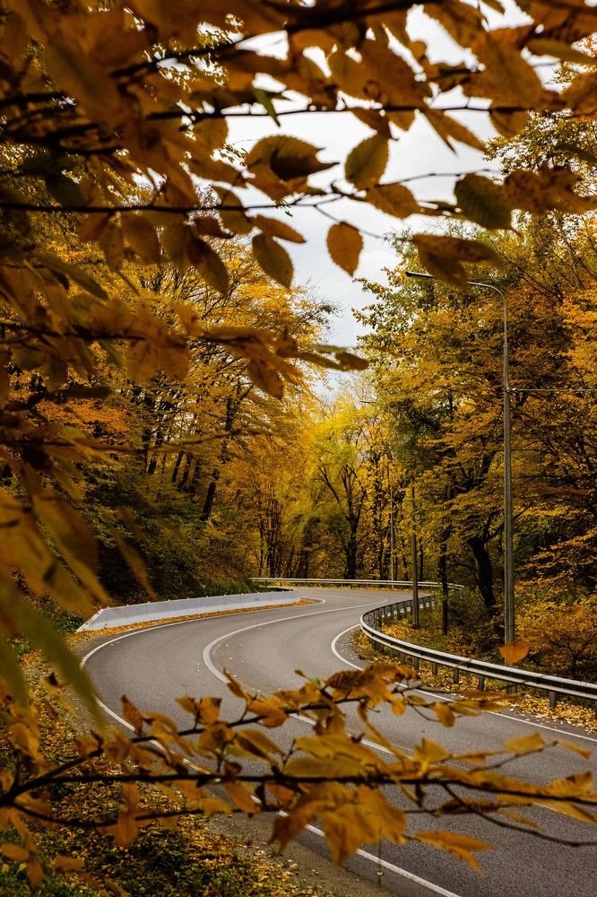 Photograph by Виктор Жулин