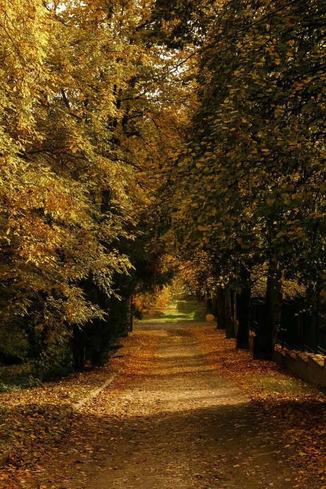 Photograph by Виктор Жулин