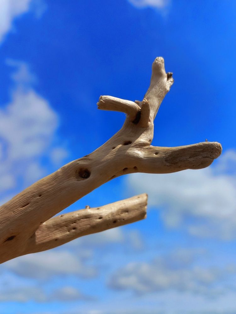 Photograph by Зоя Кулько