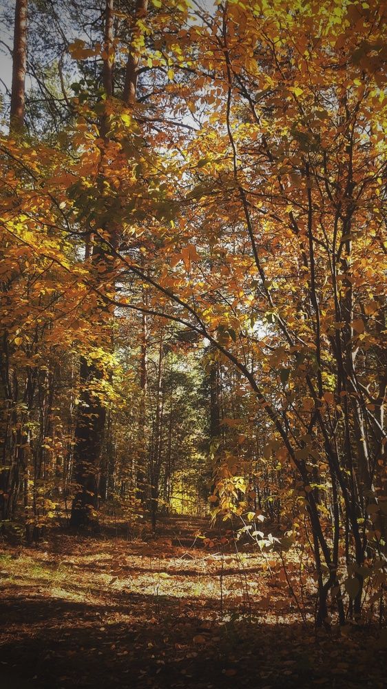Photograph by Валерия Деменева