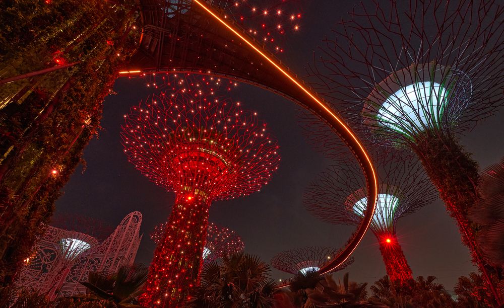 Photograph by Boris Bekelman