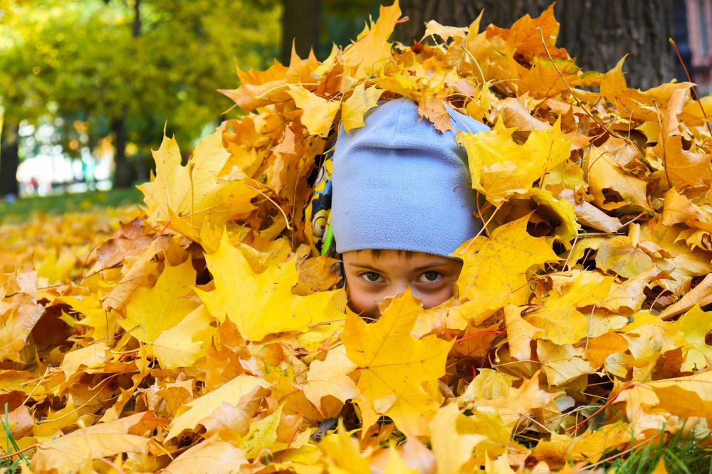 Photograph by Орехова Татьяна