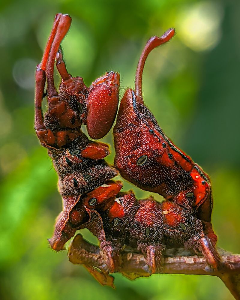 Photograph by Vaishnav K V