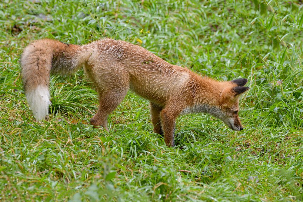 Photograph by Эдуард Шадров