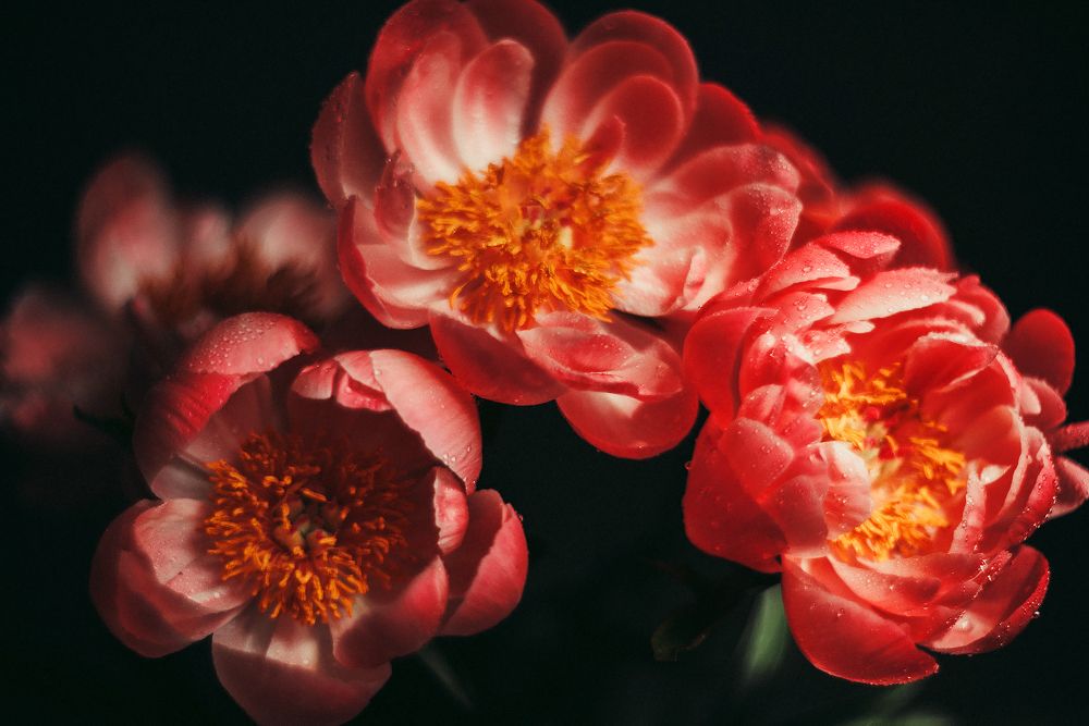 Photograph by Сергеева Марина