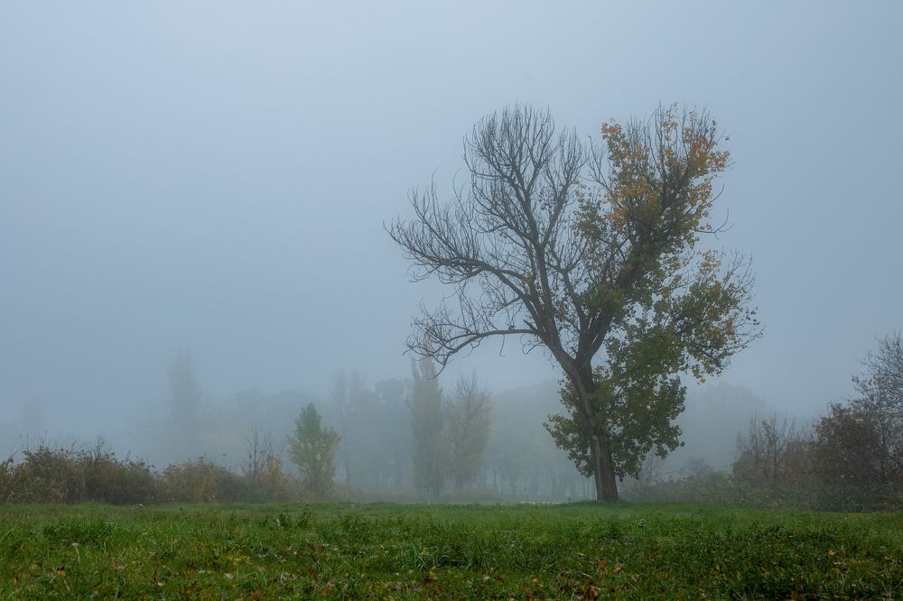 Фотография автора Minja Jovetic