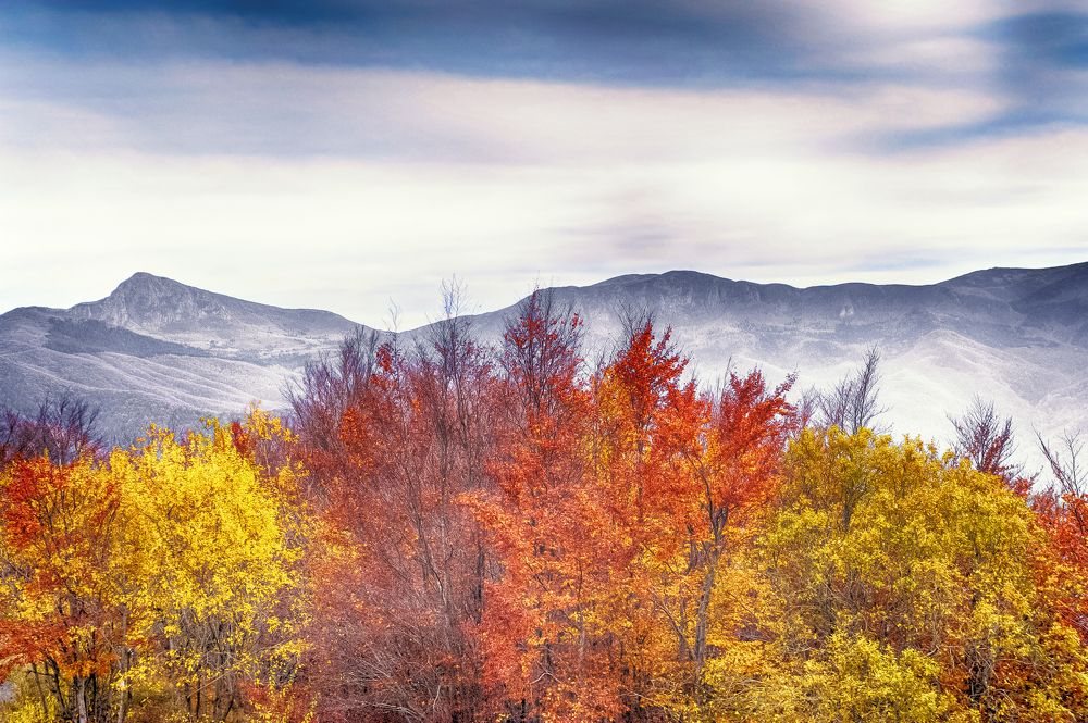 Photograph by Adriano Cascio