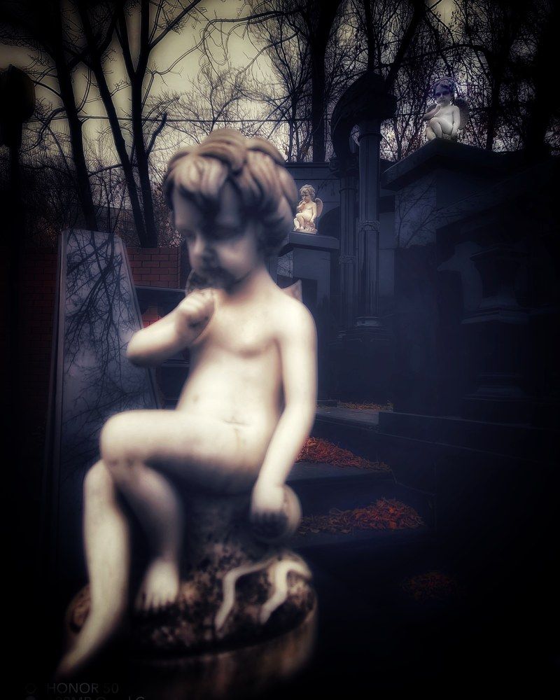 Photograph by Екатерина Миловидова