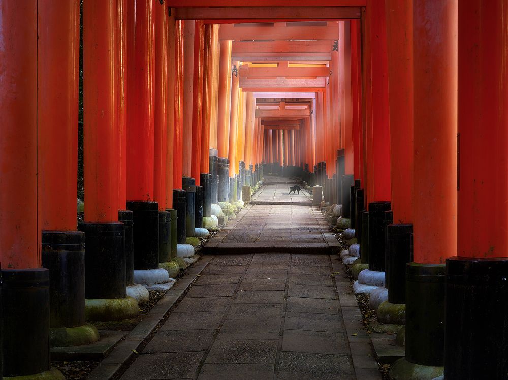 Photograph by Boris Bekelman