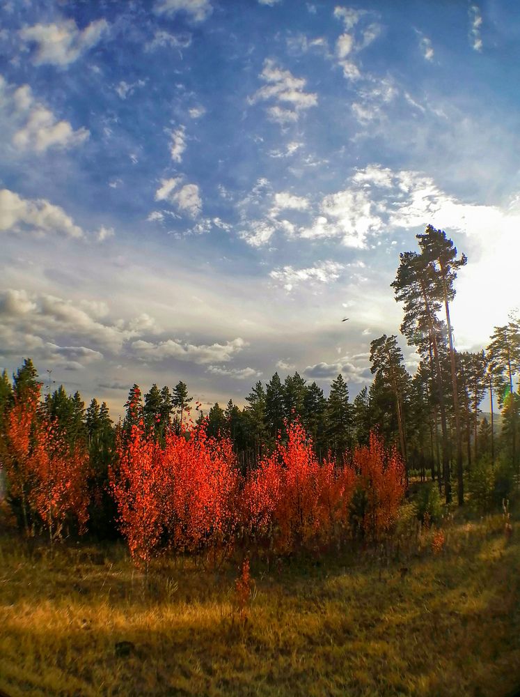 Photograph by Светлана Шелухеева