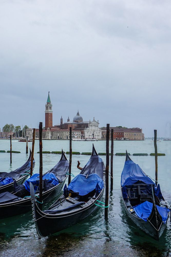 Photograph by Елена Никонова