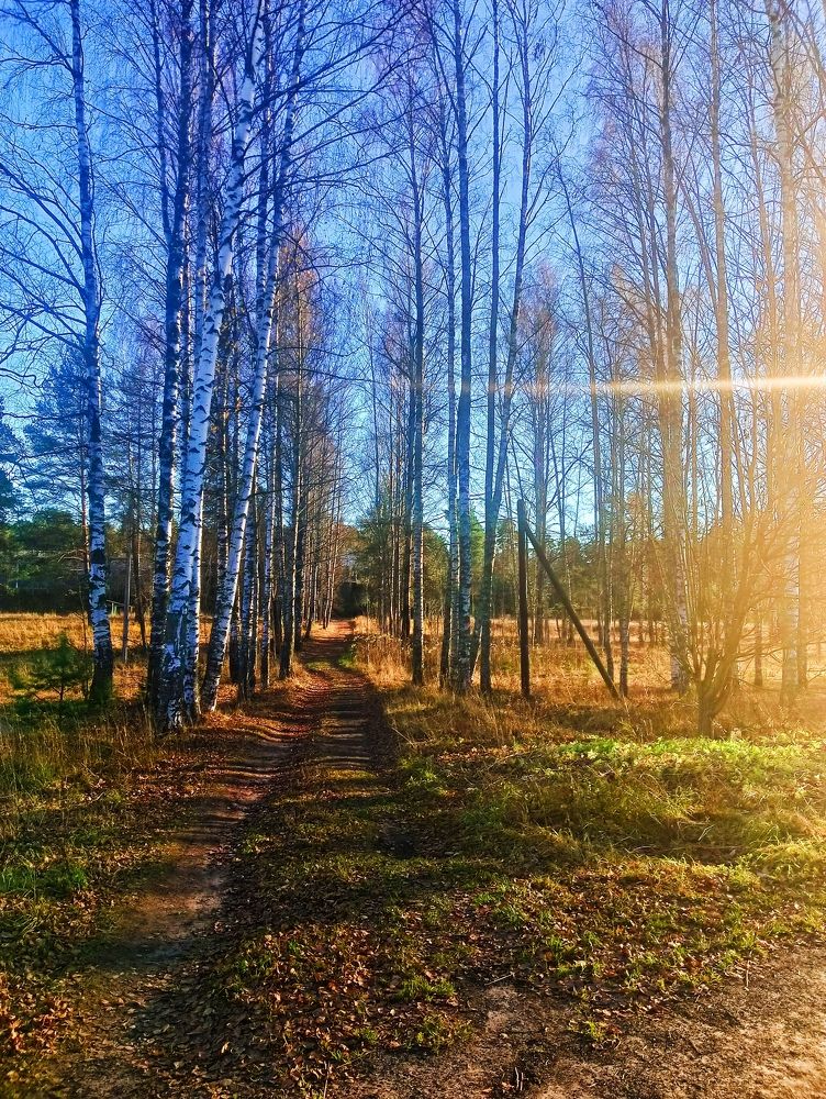 Photograph by Анастасия Макарова