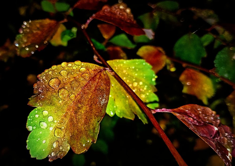 Photograph by Анастасия Макарова