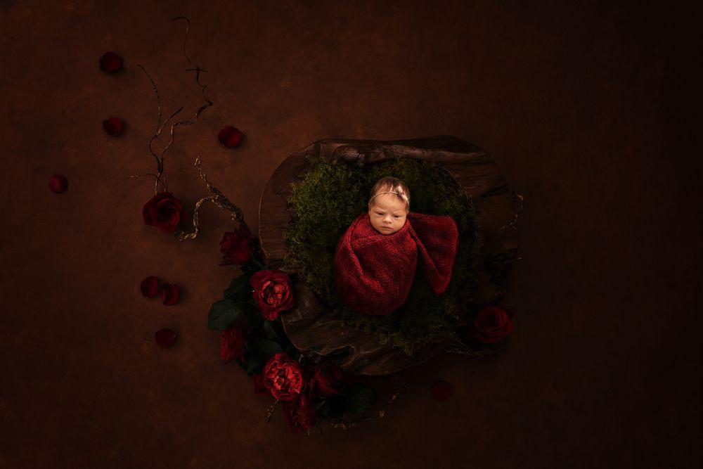 Photograph by Алена Горшкова