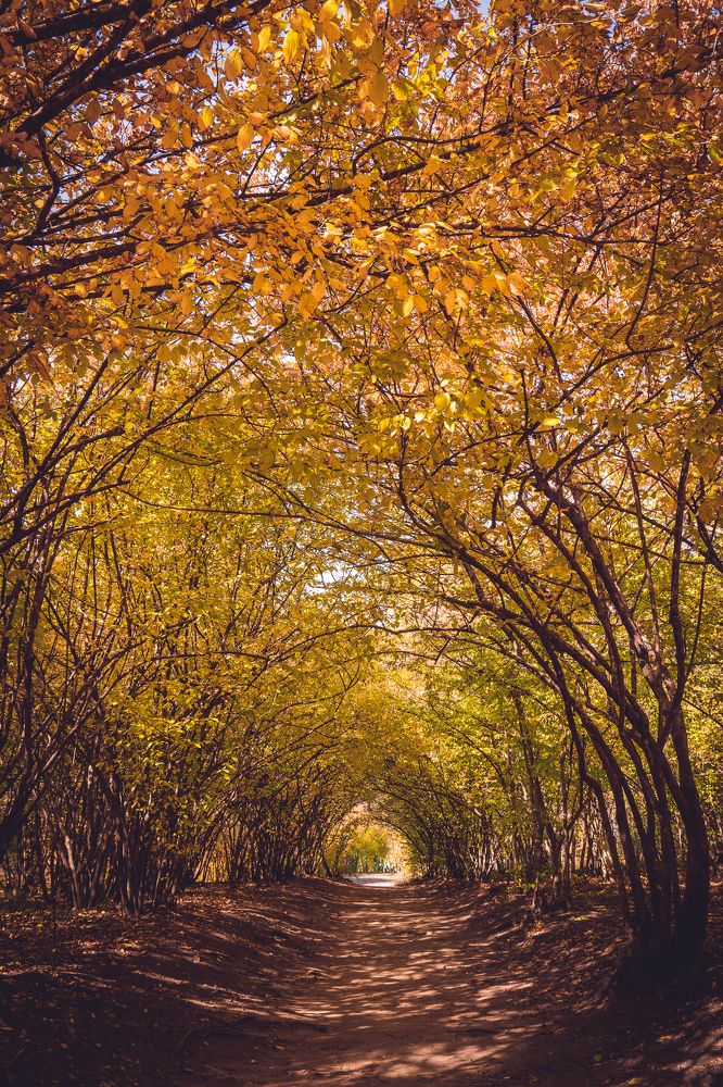 Photograph by Рымаров Александр