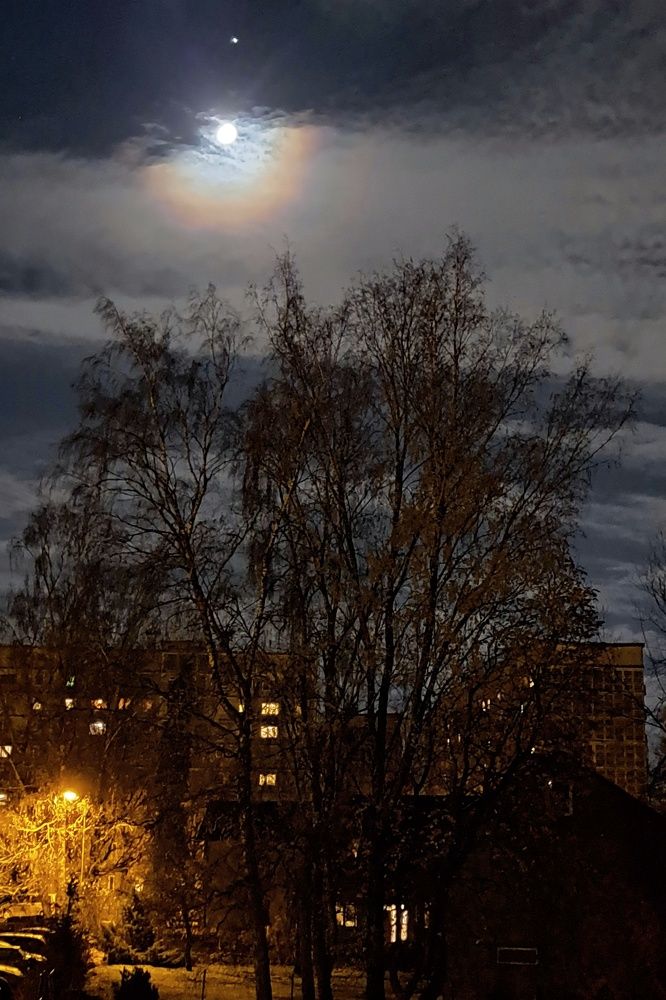 Photograph by Svetlana Jarbuse