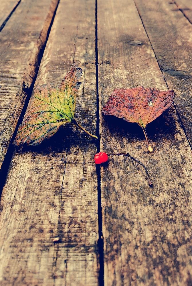 Прошлое и настоящее