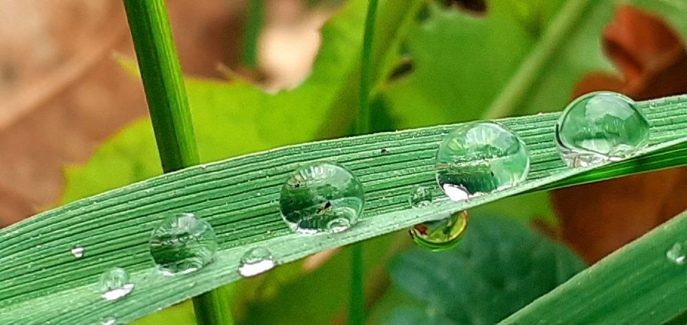 Photograph by Евгения Ульянова