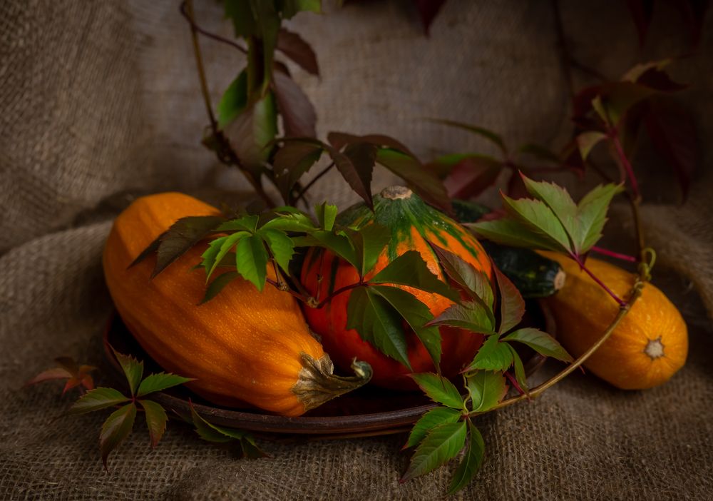 Photograph by Оксана Кудрявцева