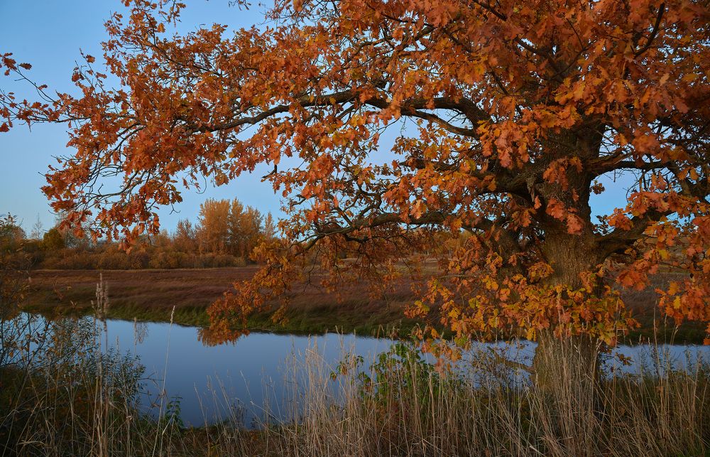 Photograph by Александр Парамонов