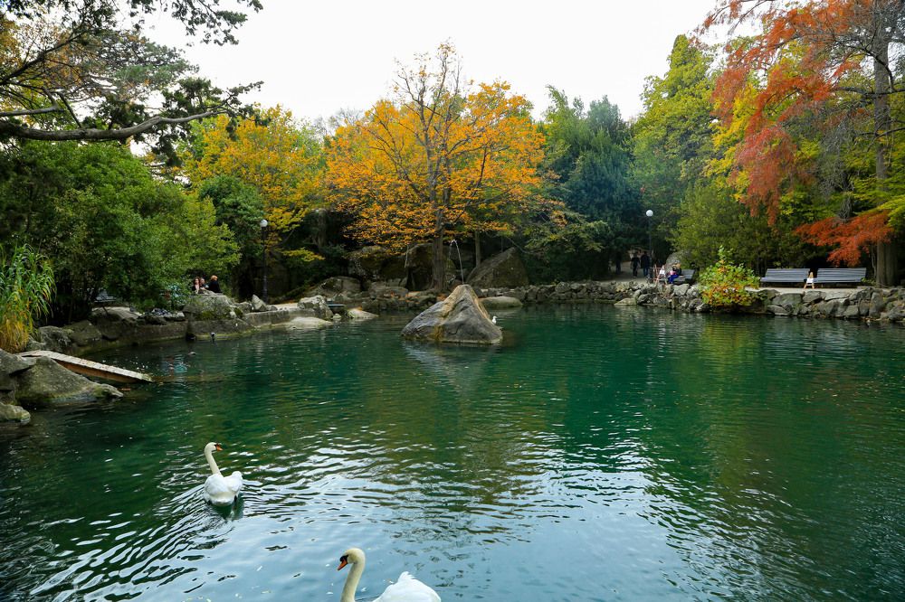 Photograph by Мария Ткаченко