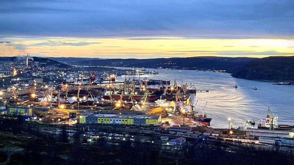 Фотография автора Юлия Шумейко