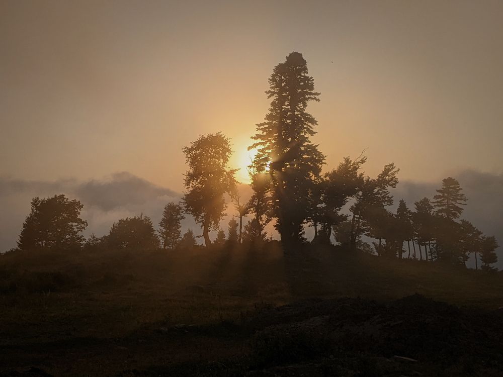 Photograph by Alexey Maisuradze