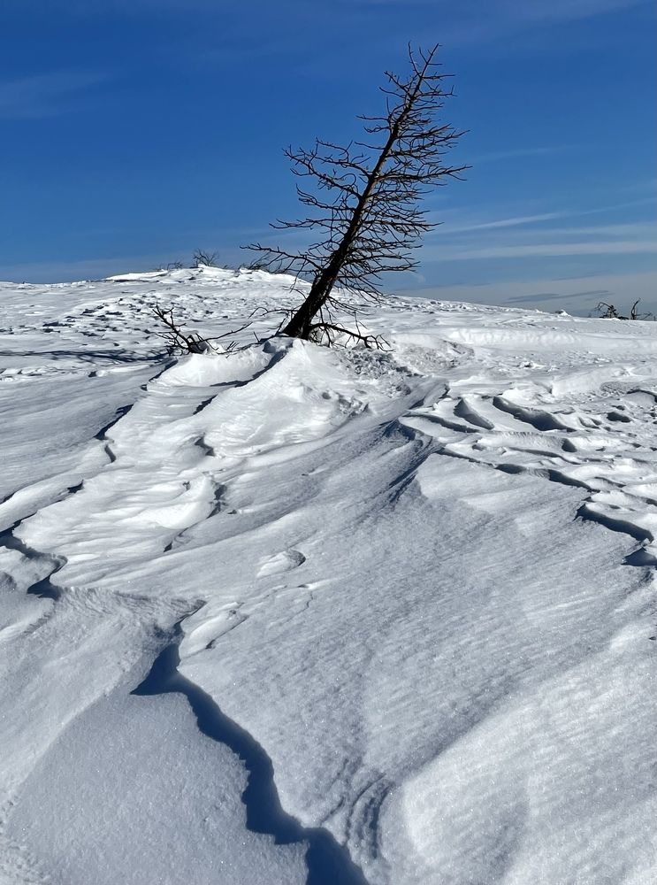 Фотография автора Юлия Шумейко